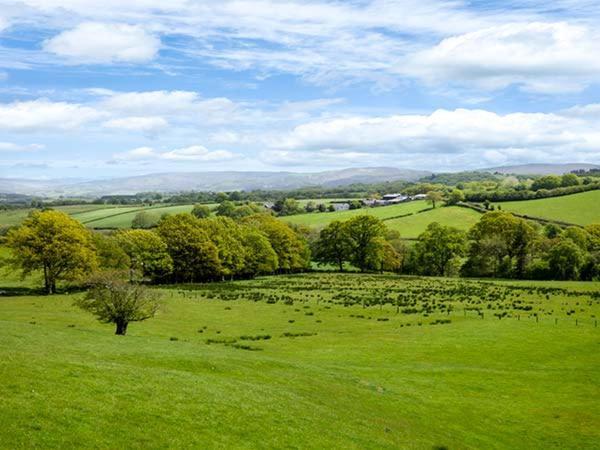 Black Mountain View Llanafan-fawr Extérieur photo